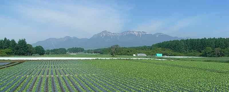 步行1分鐘即可到達的散步道，欣賞壯麗的八岳山景色。