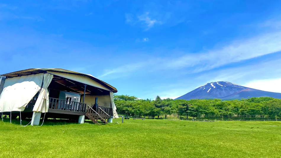 PICA Fuji Grinpa