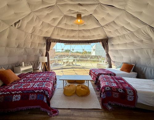 お部屋で楽しむ満天のプラネタリウム体験