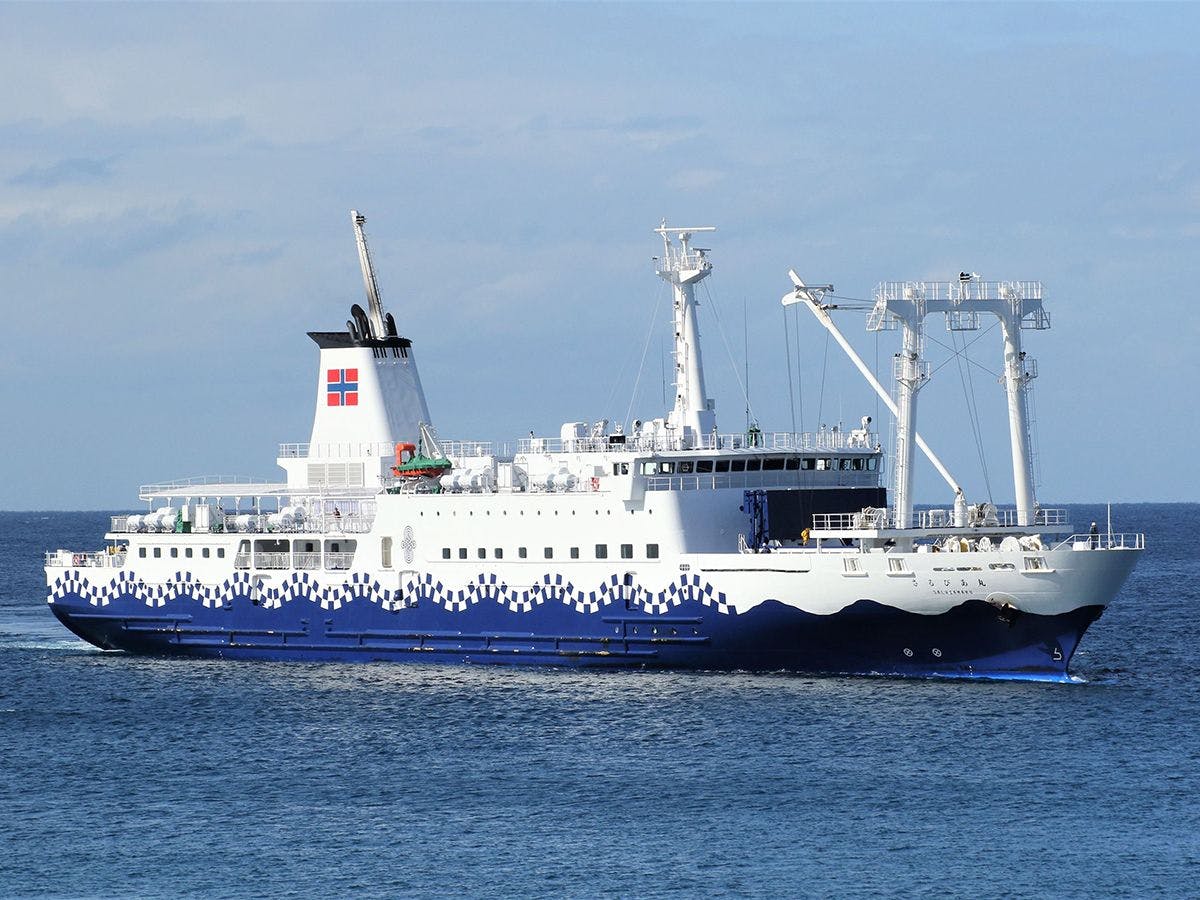 도카이 기선 사루비아마루 - 배로 오시는 경우 -