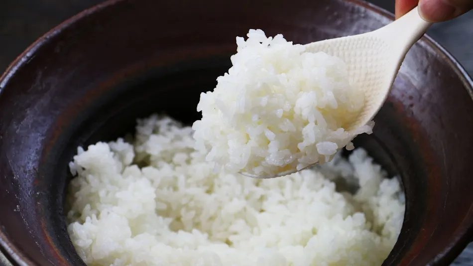 Takinohara Onsen Shiki no Aji Yado Kappo Chidori-so
