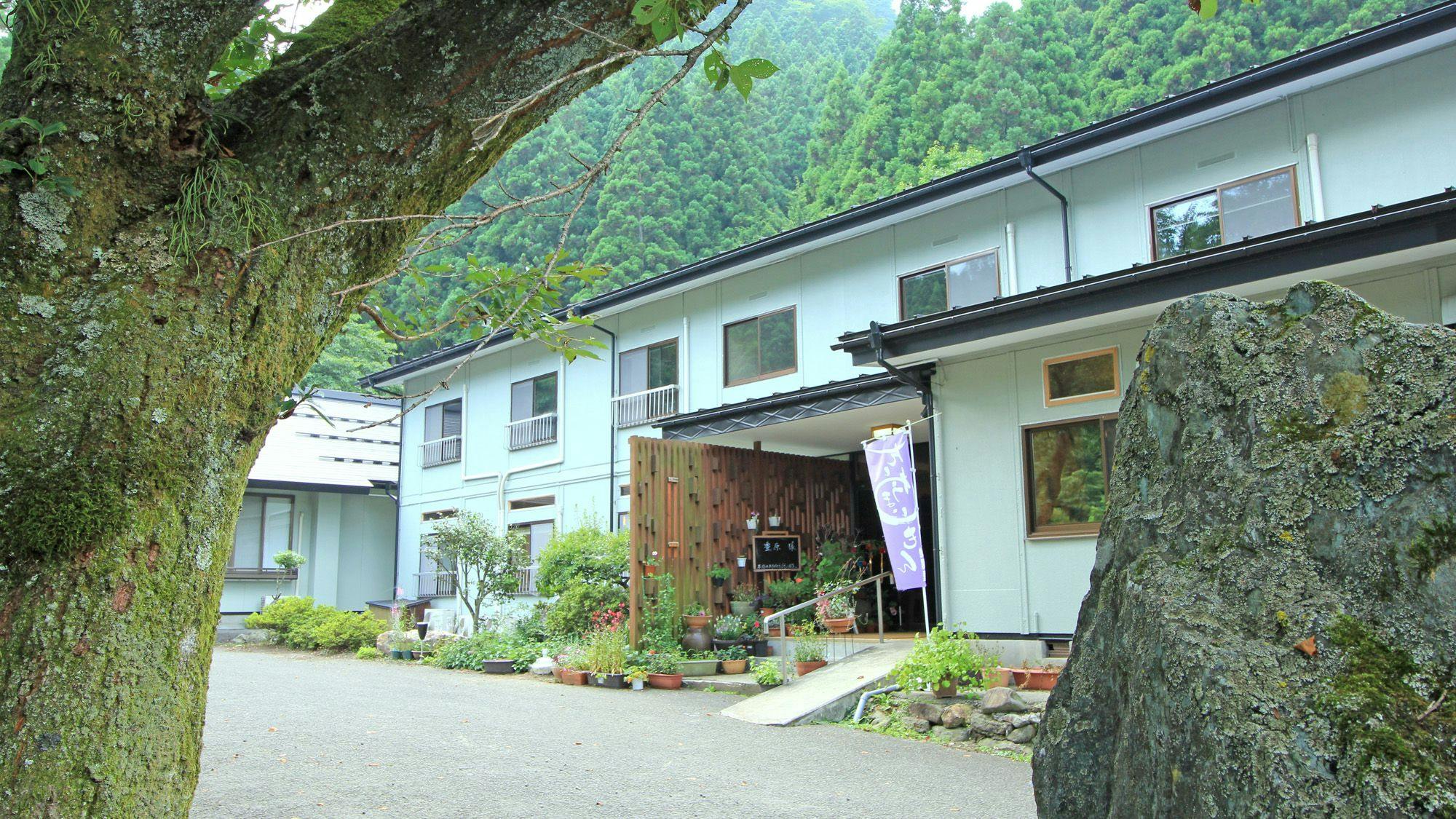 ちどり荘 クチコミ・評判 - 滝ノ原温泉 四季の味宿 割烹ちどり荘 【Yahoo
