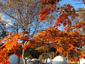 グランピングガーデン日高　鹿の郷