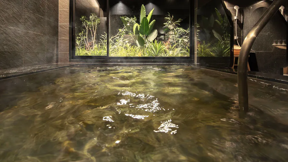 Super Hotel Tochigi/Kaminokawa Natural Hot Spring