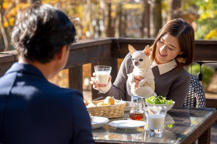 With Dogs Hotel Forest Hills Nasu
