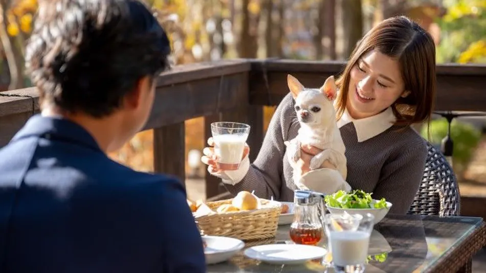 With Dogs Hotel Forest Hills Nasu