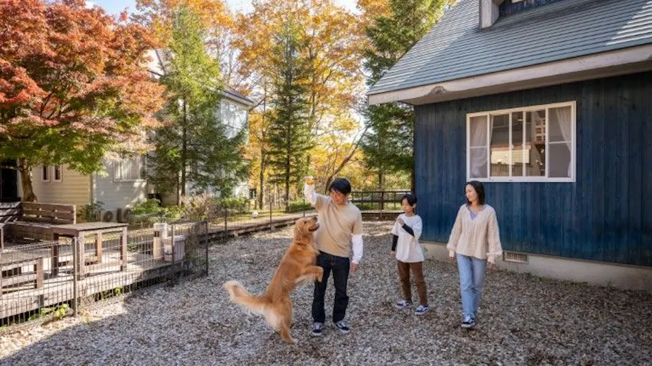 With Dogs Hotel Forest Hills Nasu