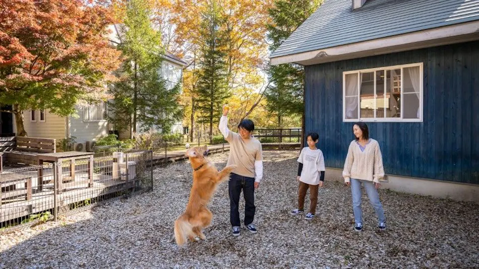 With Dogs Hotel Forest Hills Nasu