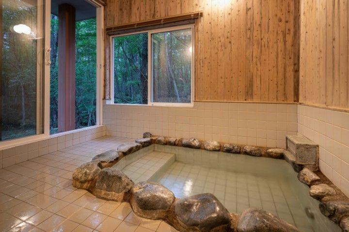 With Dogs Hotel Forest Hills Nasu
