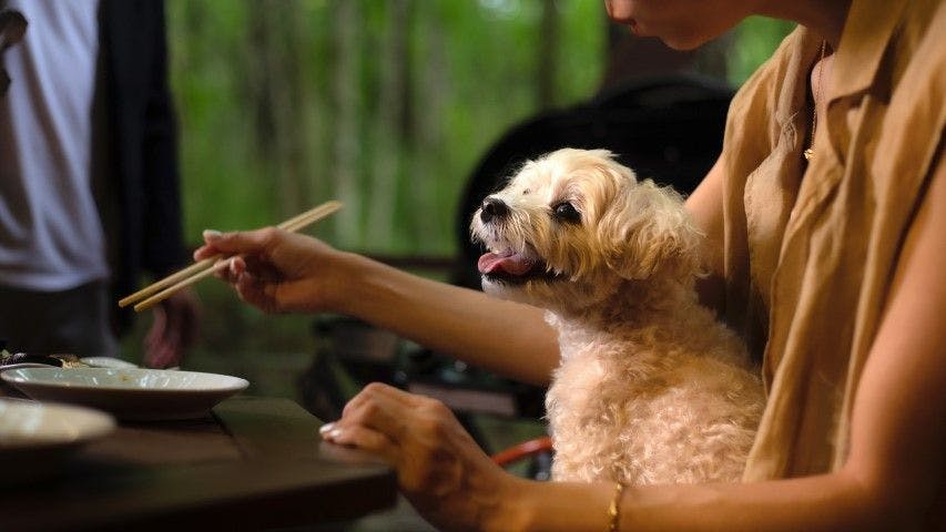 2023年OPEN【プレミアム・ヴィ拉】