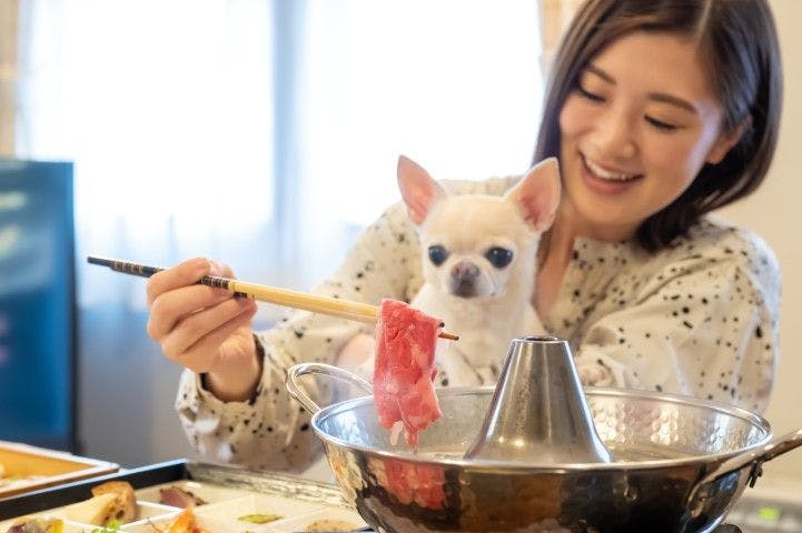 With Dogs Hotel Forest Hills Nasu