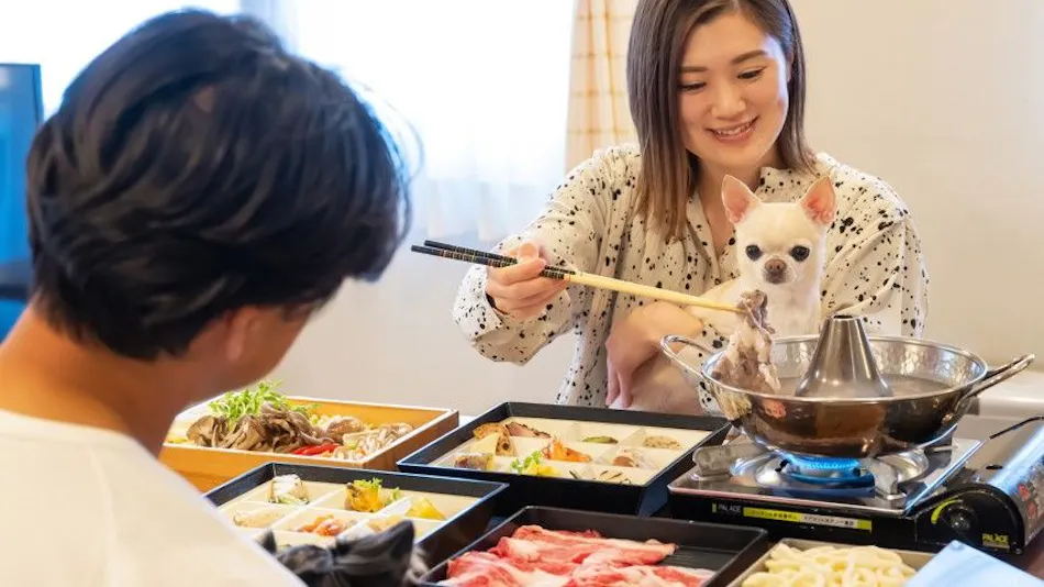 With Dogs Hotel Forest Hills Nasu