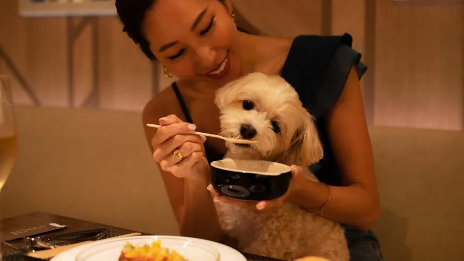 With Dogs Hotel Forest Hills Nasu