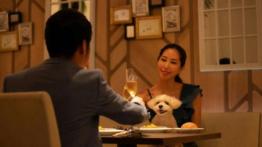With Dogs Hotel Forest Hills Nasu