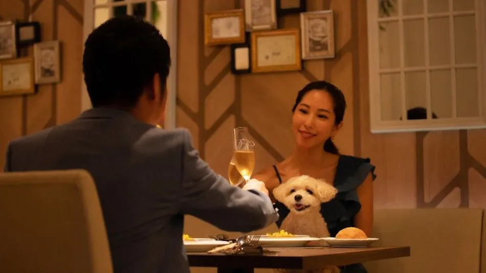 With Dogs Hotel Forest Hills Nasu