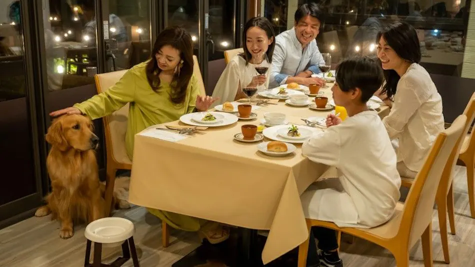 With Dogs Hotel Forest Hills Nasu
