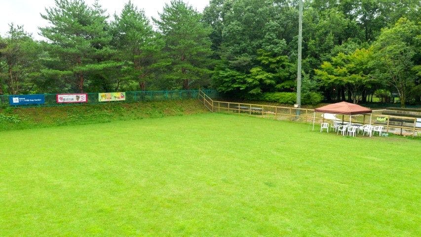 【狗狗運動場(Dog Run)】