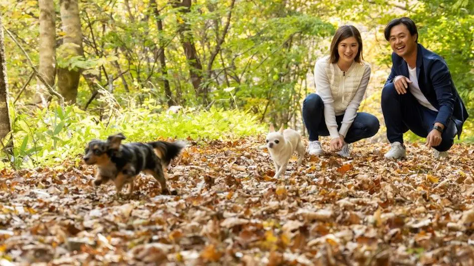 With Dogs Hotel Forest Hills Nasu