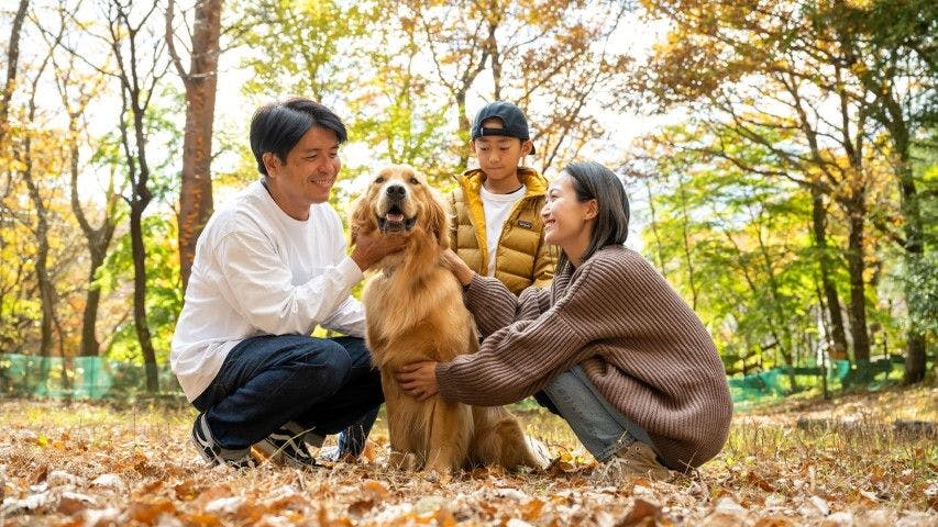 With Dogs Hotel Forest Hills Nasu