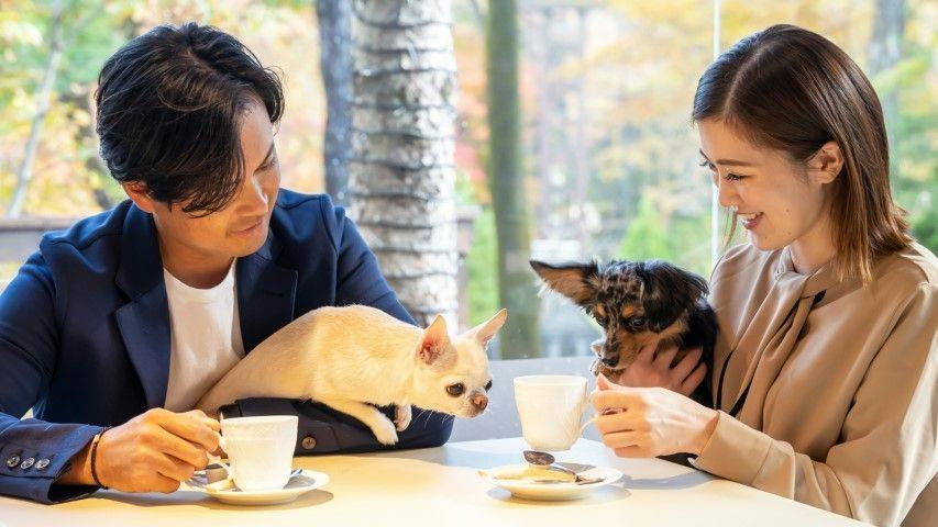 With Dogs Hotel Forest Hills Nasu