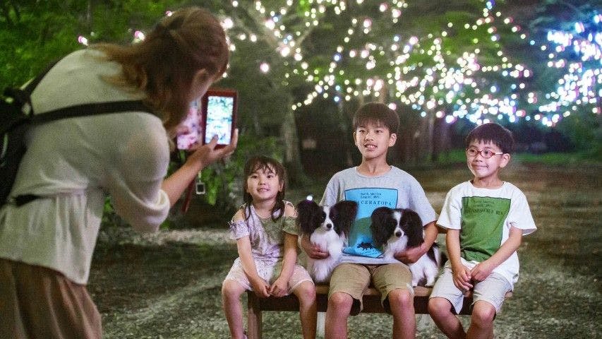 【杜之燈(Du no Akari)】