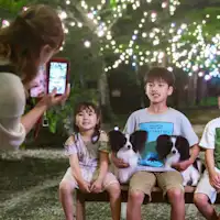 【杜之燈(Du no Akari)】