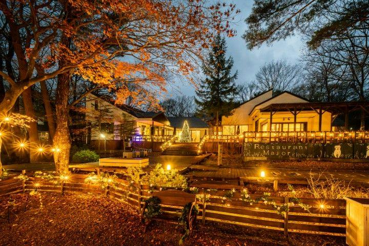 With Dogs Hotel Forest Hills Nasu