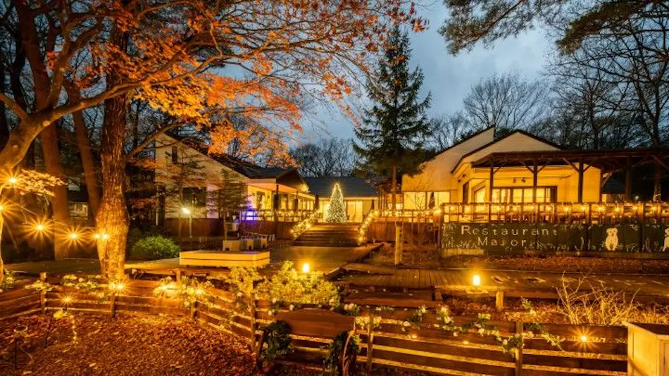With Dogs Hotel Forest Hills Nasu