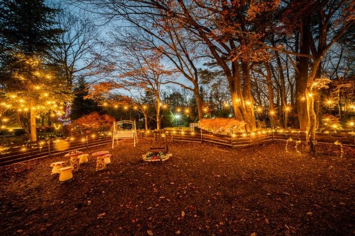 With Dogs Hotel Forest Hills Nasu