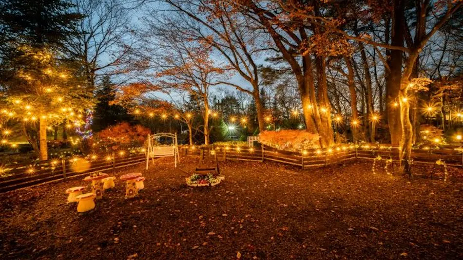 With Dogs Hotel Forest Hills Nasu