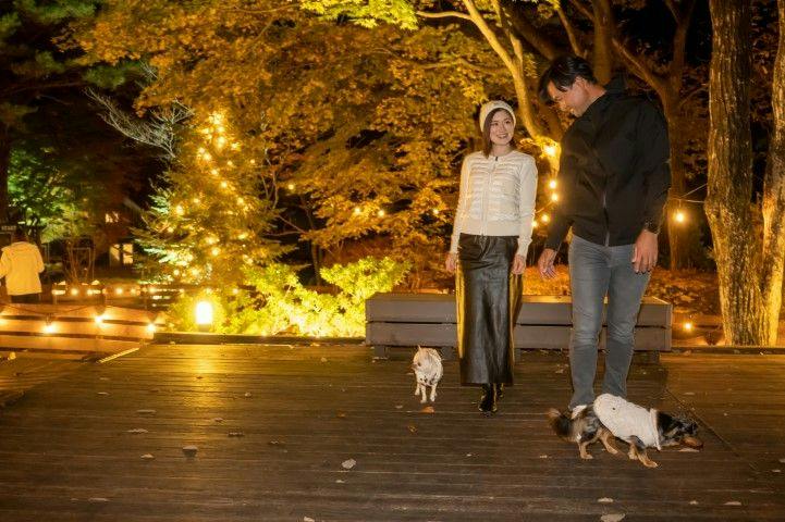 With Dogs Hotel Forest Hills Nasu