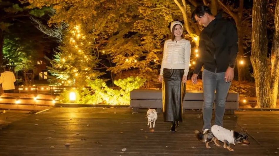 With Dogs Hotel Forest Hills Nasu