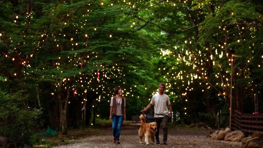 With Dogs Hotel Forest Hills Nasu