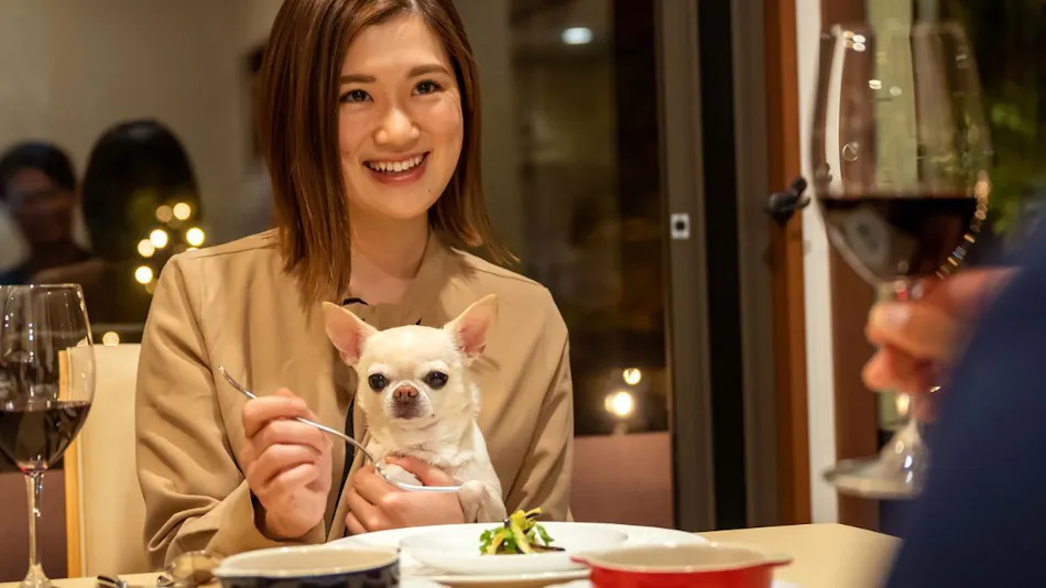 With Dogs Hotel Forest Hills Nasu
