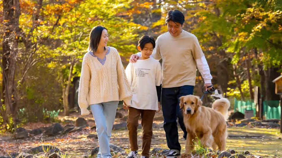 With Dogs Hotel Forest Hills Nasu