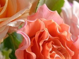 ホテル玄 菊川