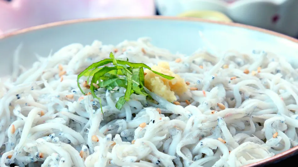 Minshuku Fuji <Shinojima>