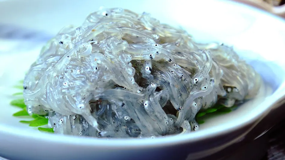 Minshuku Fuji <Shinojima>