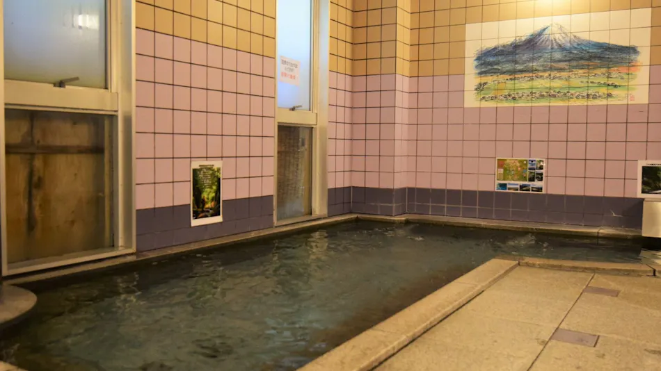 Hotel Daisen Shirogane