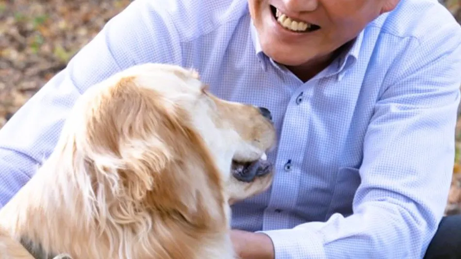 Pet-Friendly Inn Wonderful