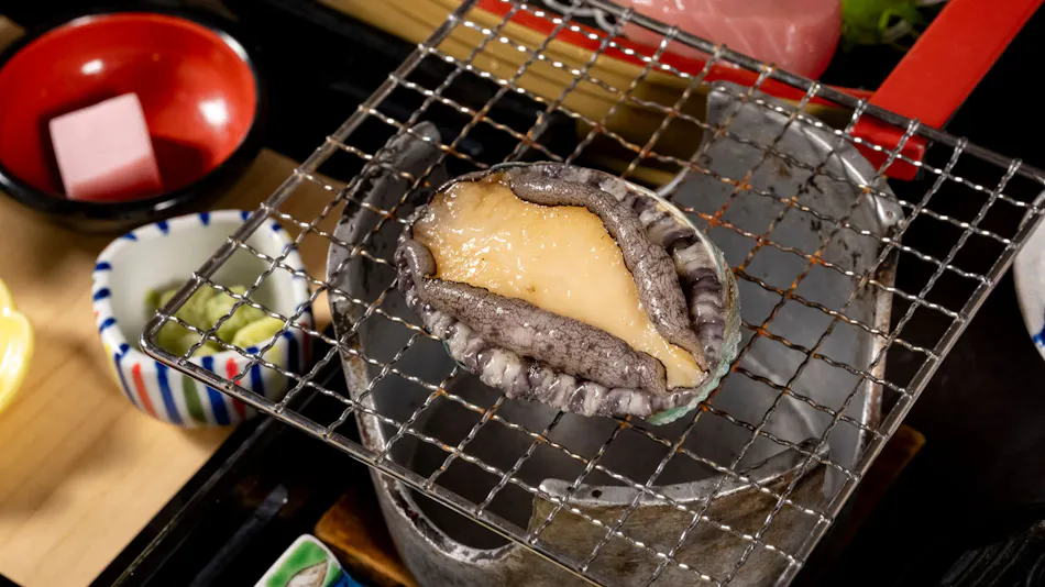 Retro Inn Yamagishien