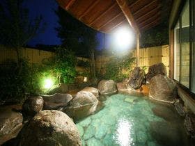 時代おくれの宿山岸園