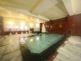 時代おくれの宿山岸園