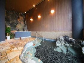 時代おくれの宿山岸園