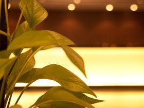 八重洲ターミナルホテル