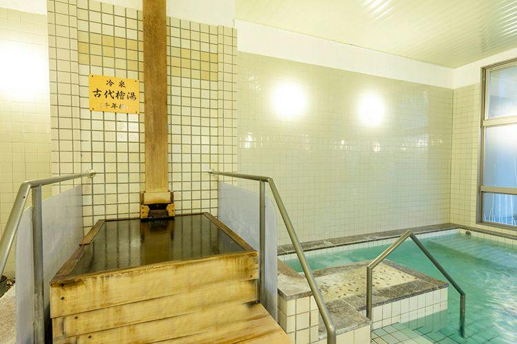 Santein Otari