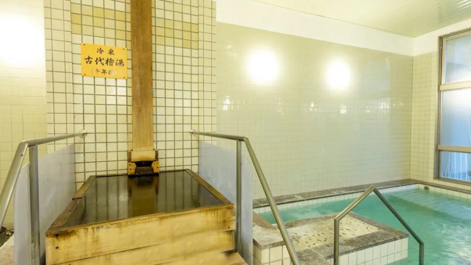 Santein Otari