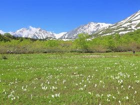 サンテインおたり