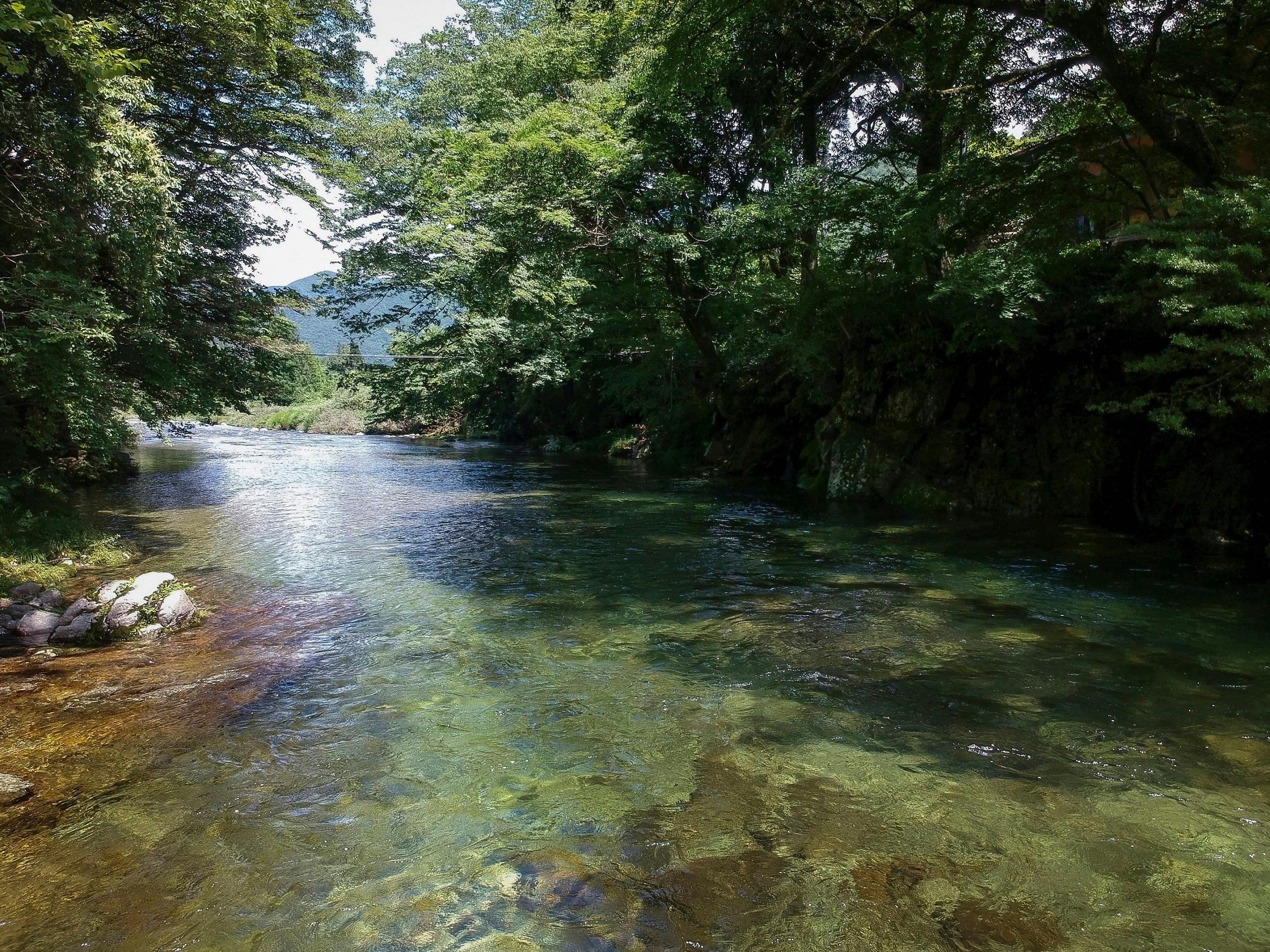 Sengakukan, the Inn of Carbonated Springs