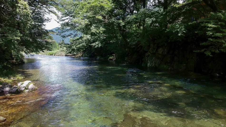 Sengakukan, the Inn of Carbonated Springs